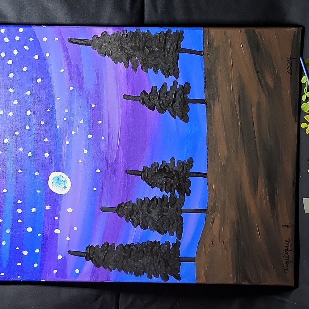 Starry night 🌃